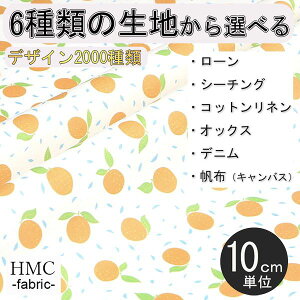 y10cmP:z n z I[_[vgz ( V[`O or IbNX ) / fab-cm00717