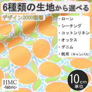 y10cmP:z n z I[_[vgz ( V[`O or IbNX ) / fab-cm00719