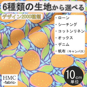y10cmP:z n z I[_[vgz ( V[`O or IbNX ) / fab-cm00720