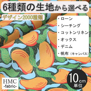 y10cmP:z n z I[_[vgz ( V[`O or IbNX ) / fab-cm00724