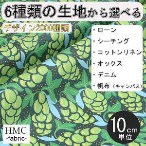 y10cmP:z n z I[_[vgz ( V[`O or IbNX ) / fab-cm00732