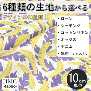 y10cmP:z n z I[_[vgz ( V[`O or IbNX ) / fab-cm00735