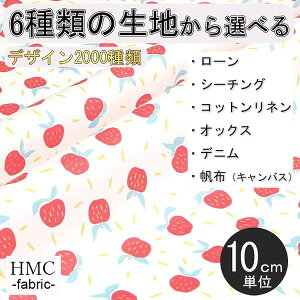 y10cmP:z n z I[_[vgz ( V[`O or IbNX ) / fab-cm00737