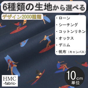 y10cmP:z n z I[_[vgz ( V[`O or IbNX ) / fab-cm00744