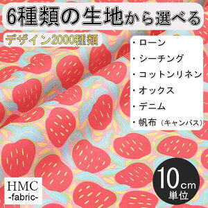 y10cmP:z n z I[_[vgz ( V[`O or IbNX ) / fab-cm00753