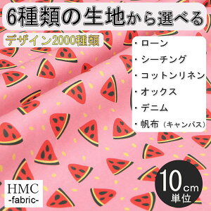 y10cmP:z n z I[_[vgz ( V[`O or IbNX ) / fab-cm00755