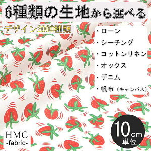 y10cmP:z n z I[_[vgz ( V[`O or IbNX ) / fab-cm00758