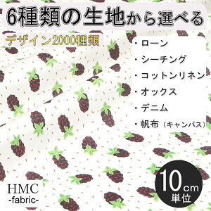 y10cmP:z n z I[_[vgz ( V[`O or IbNX ) / fab-cm00760