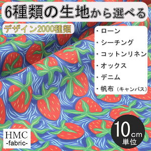 y10cmP:z n z I[_[vgz ( V[`O or IbNX ) / fab-cm00761