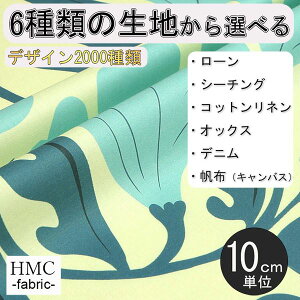 y10cmP:z n z I[_[vgz ( V[`O or IbNX ) / fab-cm00763