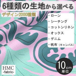 y10cmP:z n z I[_[vgz ( V[`O or IbNX ) / fab-cm00766