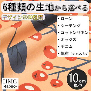 y10cmP:z n z I[_[vgz ( V[`O or IbNX ) / fab-cm00768