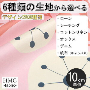 y10cmP:z n z I[_[vgz ( V[`O or IbNX ) / fab-cm00779