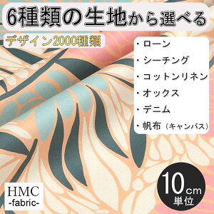 y10cmP:z n z I[_[vgz ( V[`O or IbNX ) / fab-cm00790