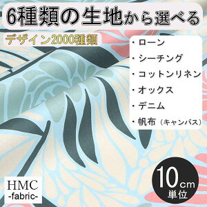 y10cmP:z n z I[_[vgz ( V[`O or IbNX ) / fab-cm00792