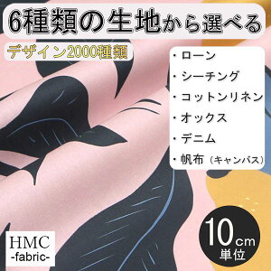 y10cmP:z n z I[_[vgz ( V[`O or IbNX ) / fab-cm00799