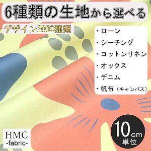 y10cmP:z n z I[_[vgz ( V[`O or IbNX ) / fab-cm00809