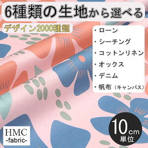 y10cmP:z n z I[_[vgz ( V[`O or IbNX ) / fab-cm00810