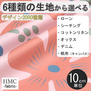 y10cmP:z n z I[_[vgz ( V[`O or IbNX ) / fab-cm00811