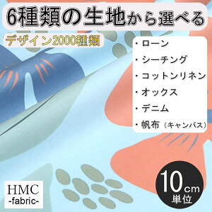 y10cmP:z n z I[_[vgz ( V[`O or IbNX ) / fab-cm00813