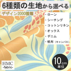 y10cmP:z n z I[_[vgz ( V[`O or IbNX ) / fab-cm00818