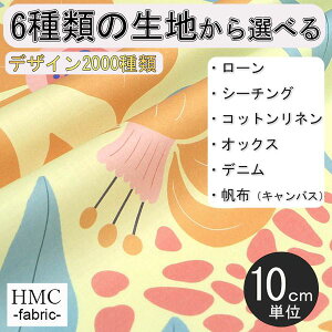y10cmP:z n z I[_[vgz ( V[`O or IbNX ) / fab-cm00819