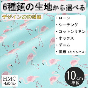 y10cmP:z n z I[_[vgz ( V[`O or IbNX ) / fab-cm00820