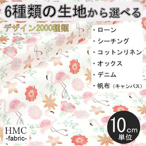 y10cmP:z n z I[_[vgz ( V[`O or IbNX ) / fab-cm00822