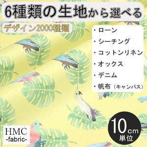 y10cmP:z n z I[_[vgz ( V[`O or IbNX ) / fab-cm00825