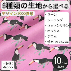 y10cmP:z n z I[_[vgz ( V[`O or IbNX ) / fab-cm00826