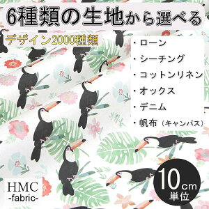 y10cmP:z n z I[_[vgz ( V[`O or IbNX ) / fab-cm00827