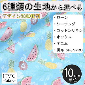 y10cmP:z n z I[_[vgz ( V[`O or IbNX ) / fab-cm00829