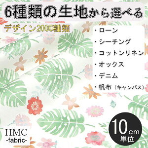 y10cmP:z n z I[_[vgz ( V[`O or IbNX ) / fab-cm00830