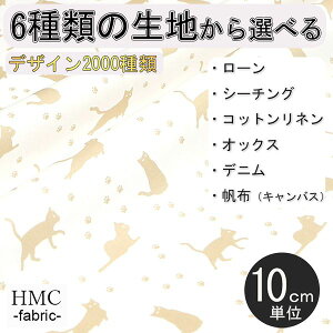 y10cmP:z n z I[_[vgz ( V[`O or IbNX ) / fab-cm00837