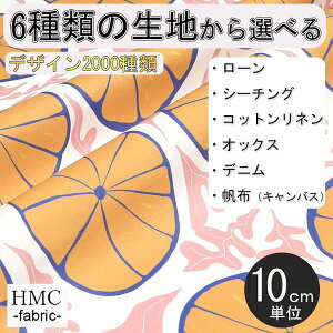 y10cmP:z n z I[_[vgz ( V[`O or IbNX ) / fab-cm00842