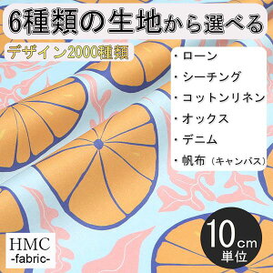 y10cmP:z n z I[_[vgz ( V[`O or IbNX ) / fab-cm00844