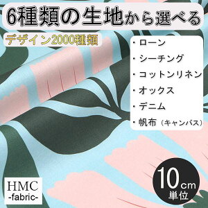 y10cmP:z n z I[_[vgz ( V[`O or IbNX ) / fab-cm00848