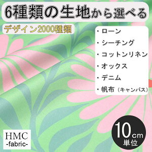 y10cmP:z n z I[_[vgz ( V[`O or IbNX ) / fab-cm00857