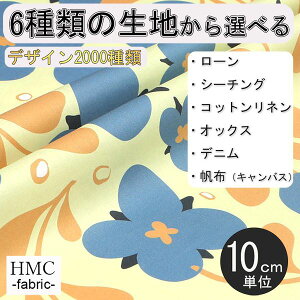 y10cmP:z n z I[_[vgz ( V[`O or IbNX ) / fab-cm00862