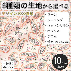y10cmP:z n z I[_[vgz ( V[`O or IbNX ) / fab-cm00866