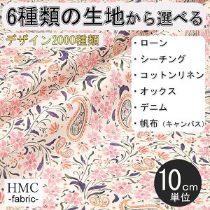 y10cmP:z n z I[_[vgz ( V[`O or IbNX ) / fab-cm00868