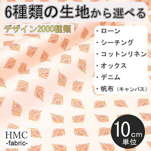 y10cmP:z n z I[_[vgz ( V[`O or IbNX ) / fab-cm00871