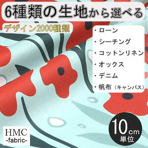 y10cmP:z n z I[_[vgz ( V[`O or IbNX ) / fab-cm00881