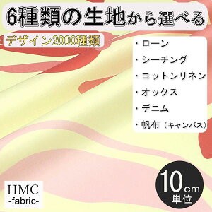 y10cmP:z n z I[_[vgz ( V[`O or IbNX ) / fab-cm00890