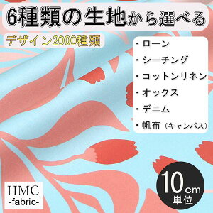 y10cmP:z n z I[_[vgz ( V[`O or IbNX ) / fab-cm00893