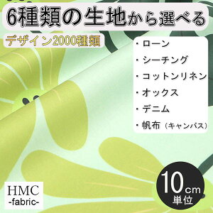 y10cmP:z n z I[_[vgz ( V[`O or IbNX ) / fab-cm00900