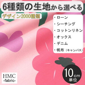 y10cmP:z n z I[_[vgz ( V[`O or IbNX ) / fab-cm00904