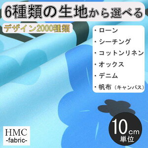 y10cmP:z n z I[_[vgz ( V[`O or IbNX ) / fab-cm00906