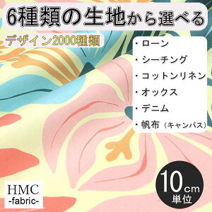 y10cmP:z n z I[_[vgz ( V[`O or IbNX ) / fab-cm00910