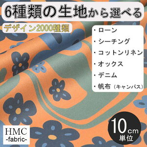 y10cmP:z n z I[_[vgz ( V[`O or IbNX ) / fab-cm00913